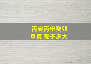 丙寅丙申癸卯甲寅 鞭子多大